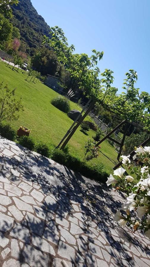 House With Big Garden And Barbeque In Nature Vourgareli Ngoại thất bức ảnh