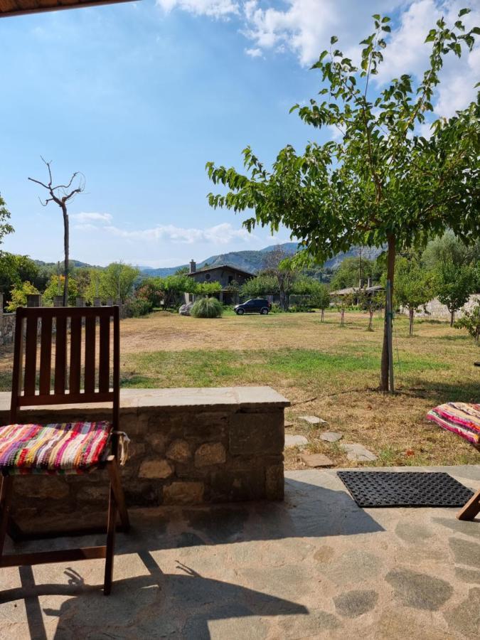 House With Big Garden And Barbeque In Nature Vourgareli Ngoại thất bức ảnh